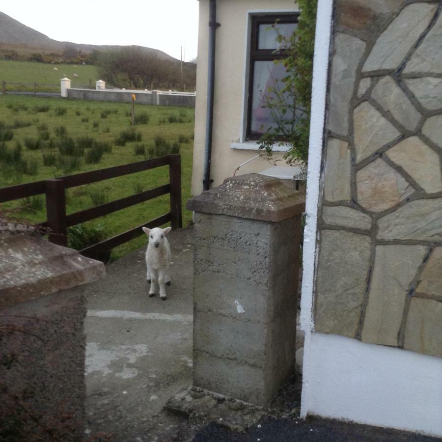 Sea View Chalet Kilsallagh Westport Co Mayo Εξωτερικό φωτογραφία